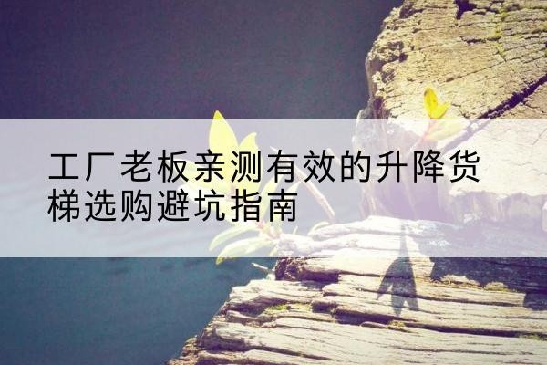 临川升降货梯怎么选-工厂老板亲测有效的升降货梯选购避坑指南
