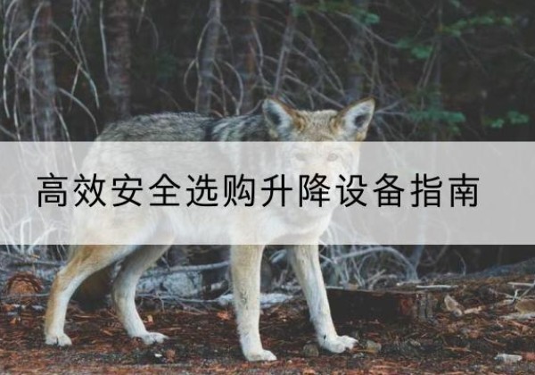 临川升降货梯厂家推荐-*安全选购升降设备指南