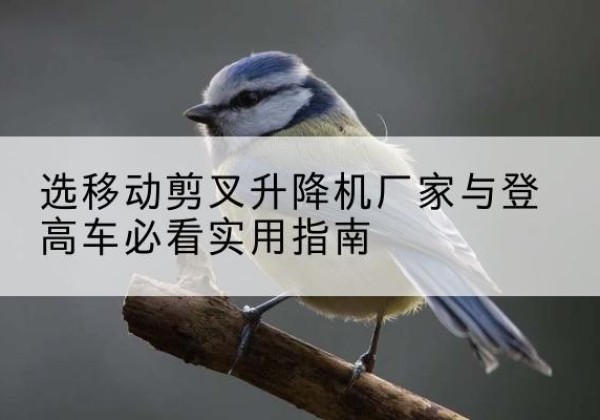 临川电动升降机厂家-选移动剪叉升降机厂家与登高车必看实用指南