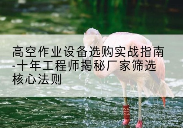 临川剪叉式升降机厂家-高空作业设备选购实战指南-十年工程师揭秘厂家筛选核心法则