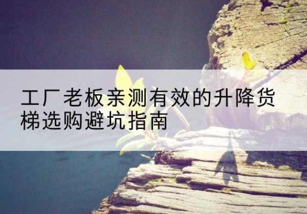 临川升降货梯怎么选-工厂老板亲测有效的升降货梯选购避坑指南